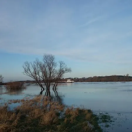 Ξενοδοχείο Steinhagen 3*