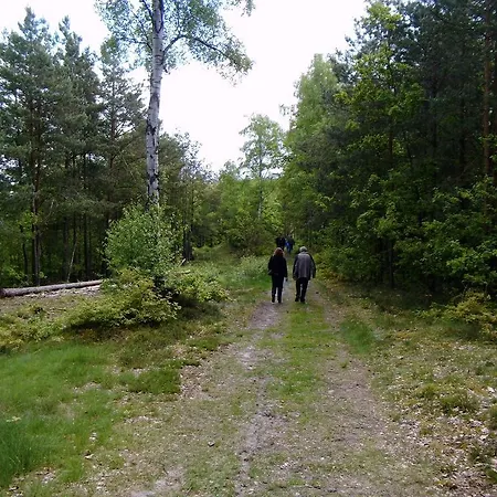 Steinhagen Ξενοδοχείο 3*