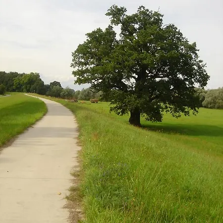 Ξενοδοχείο Steinhagen 3*