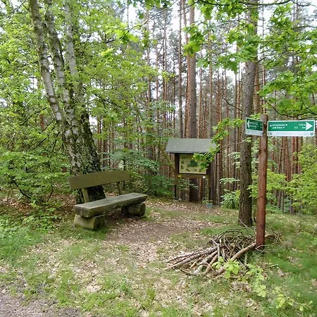 Steinhagen