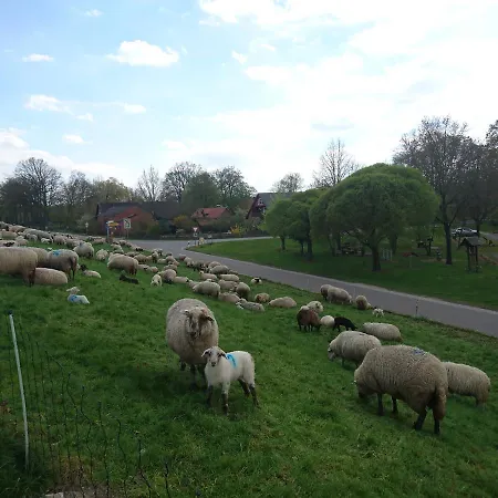 Steinhagen Hotel Damnatz