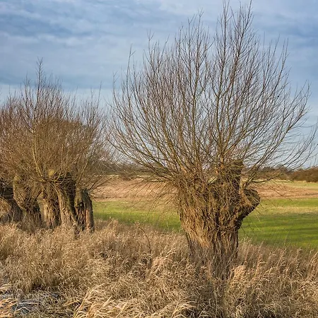 Hotel Steinhagen Damnatz