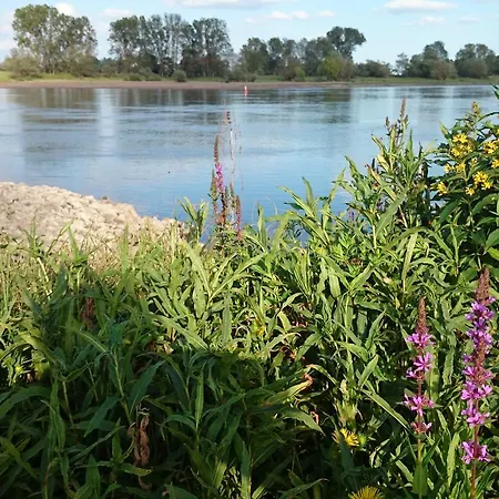 Ξενοδοχείο Steinhagen Damnatz