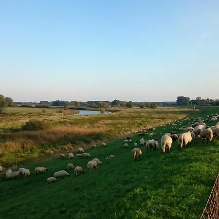 Ξενοδοχείο Steinhagen 3*