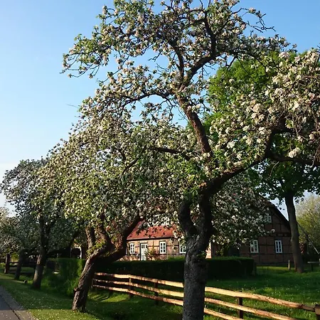 Steinhagen Ξενοδοχείο 3*