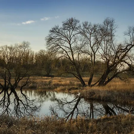 Hotel Steinhagen Damnatz